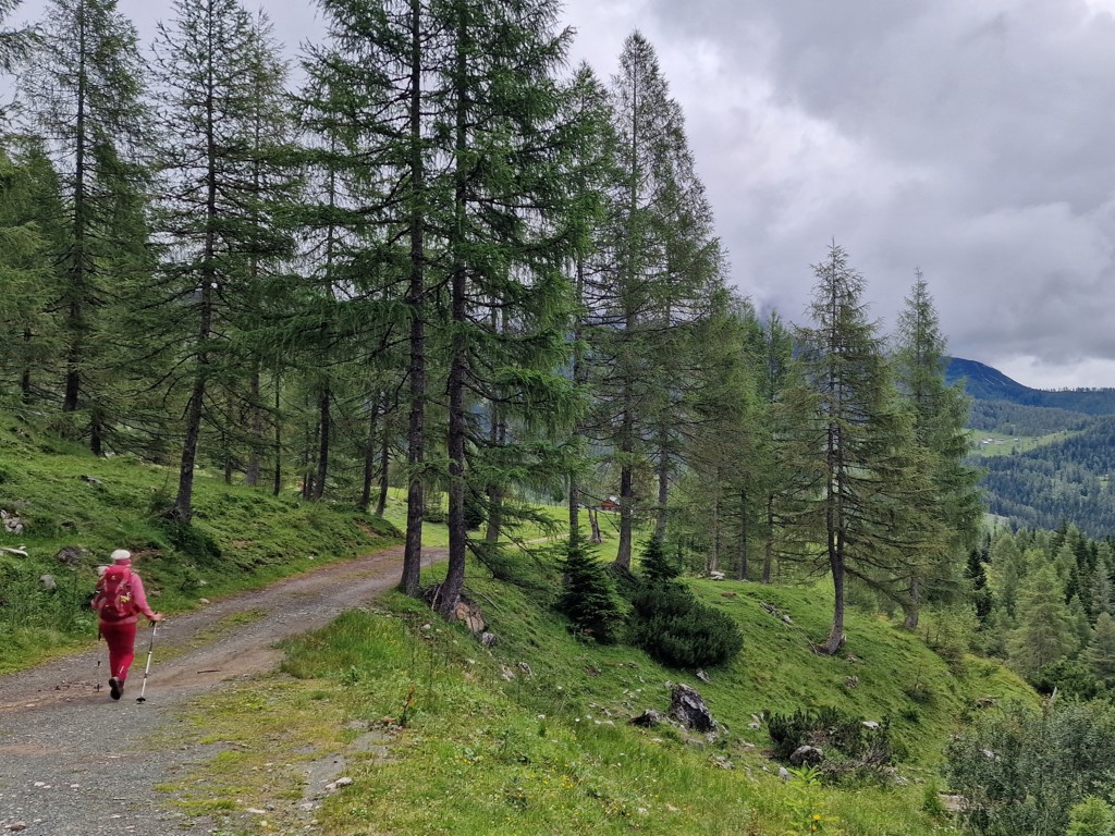 De weg naar Backalm