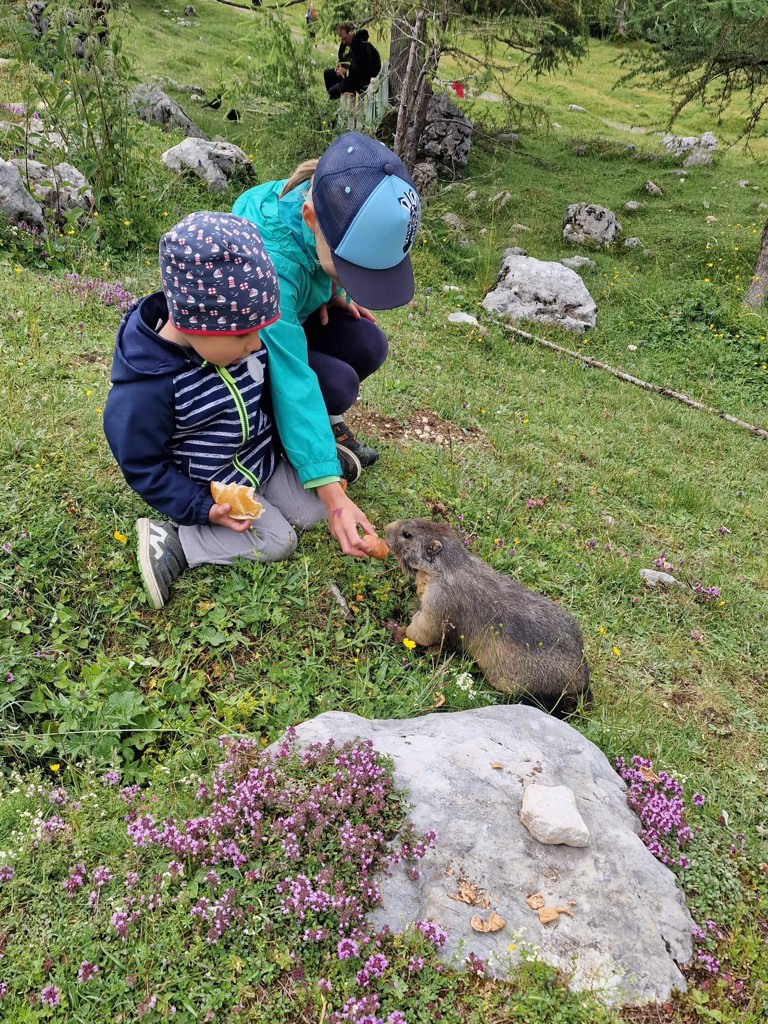 twee kinderen en een murmeltier