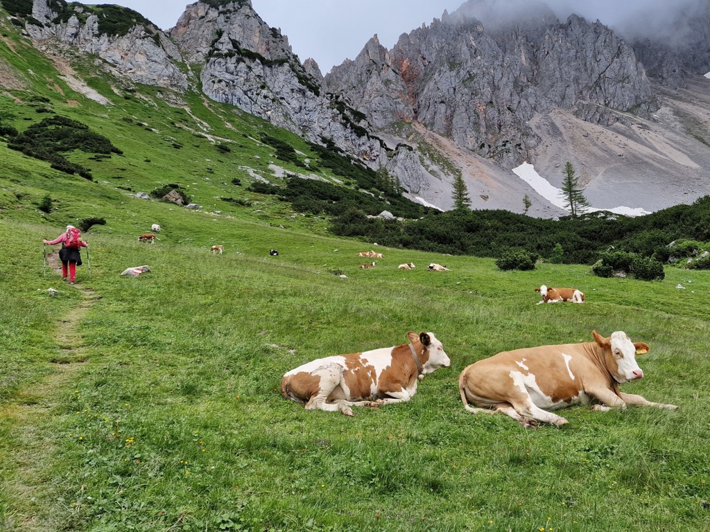 Dachstein massief