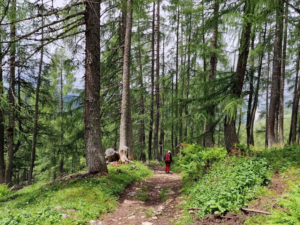 wandelen over de Salzburger ASlmenweg