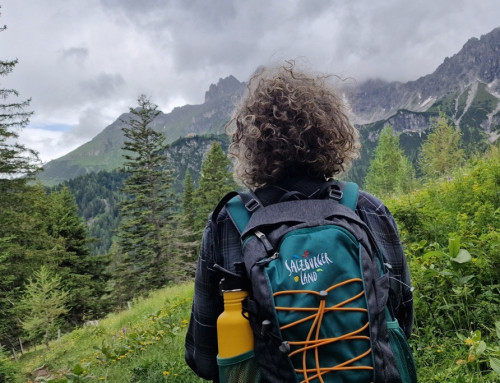 Ontdek de Salzburger Almenweg