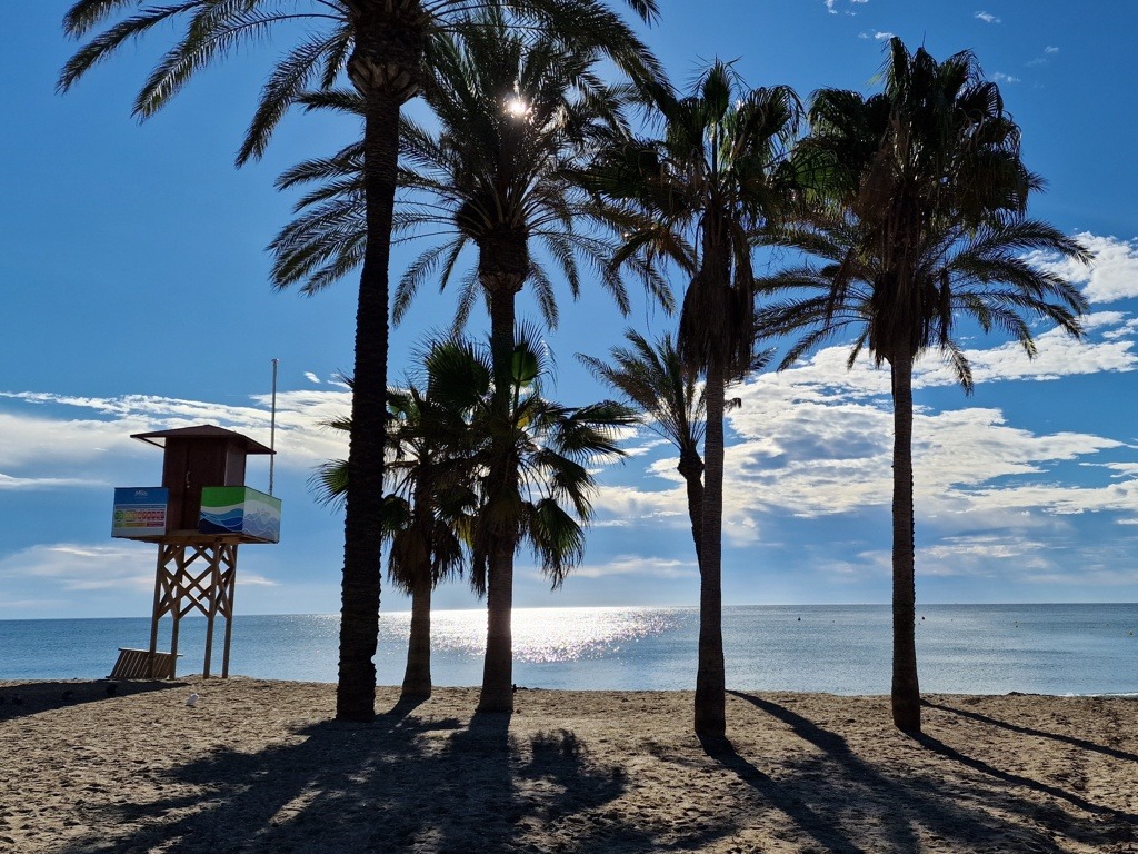 La Cala de Mijas - strand - palmbomen - zwemtoezicht