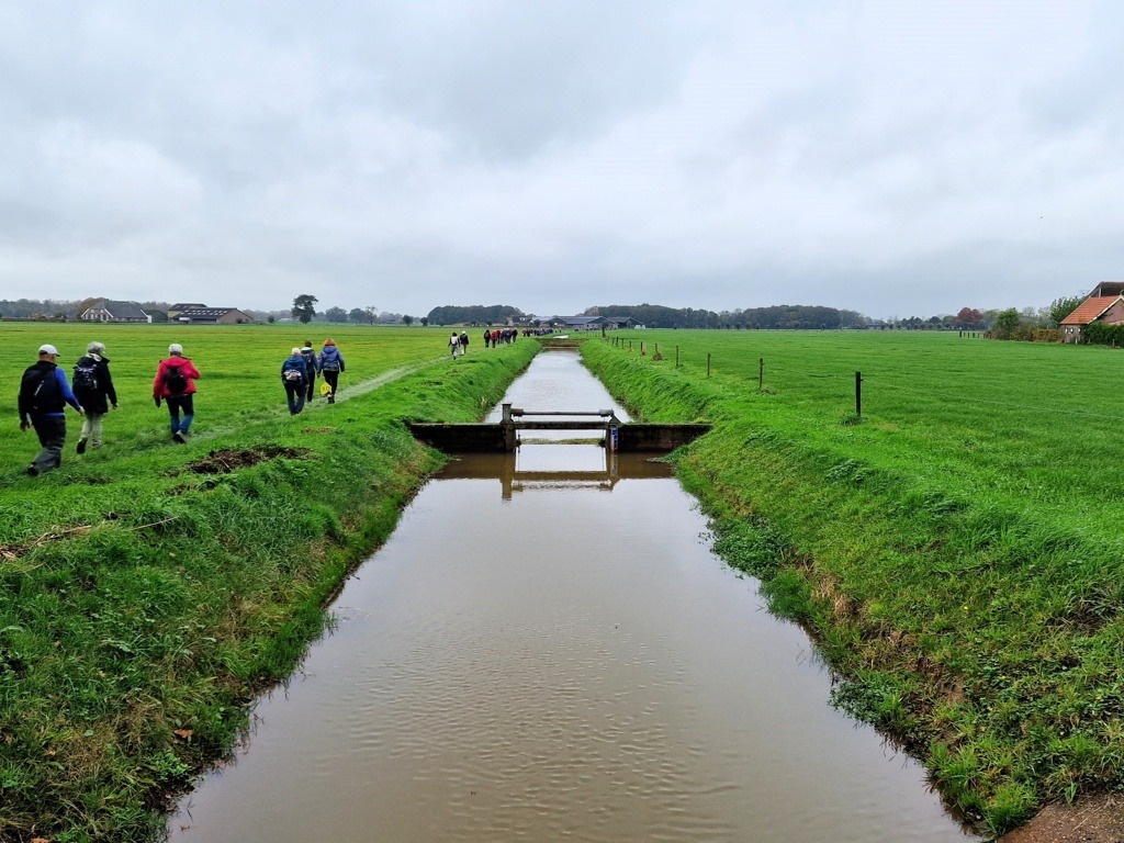 wandelen door de weilanden