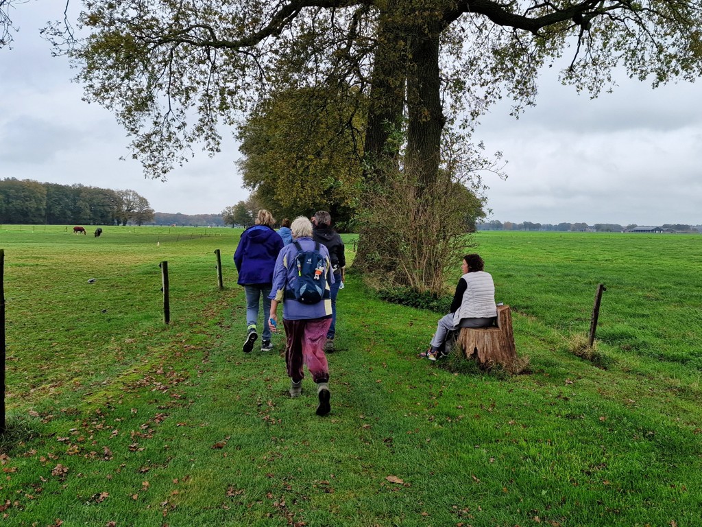 wandelen en zitten