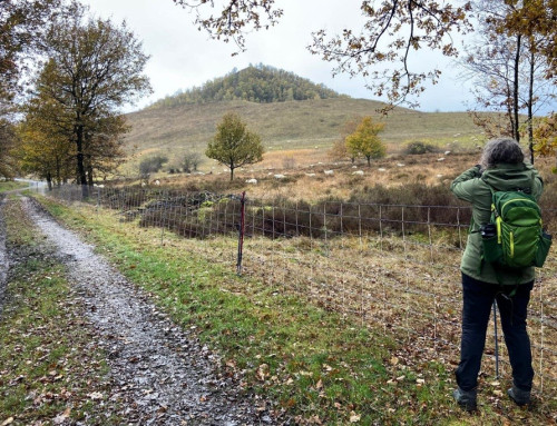 National Park Trail – Hoge Kempen: 5 dagen wandelen en genieten!