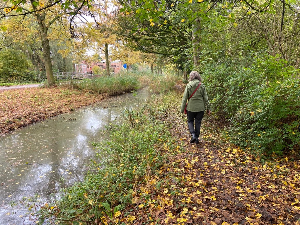 Park de Meer - Watergraafsmeerroute wandelen 