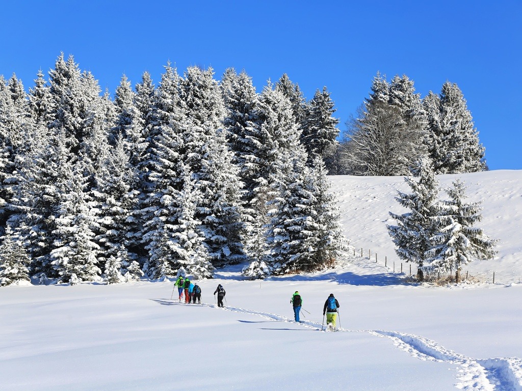 sneeuwschoenwandelen