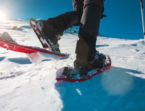 Sneeuwschoenwandelen: wat trek je aan, wat heb je nodig?